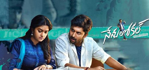 nenu local poster hd