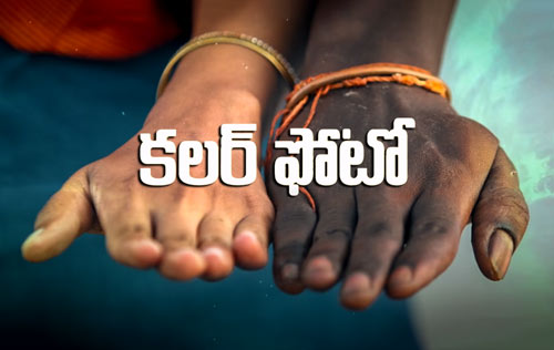 Colour Photo Movie 2020 Download InsTube